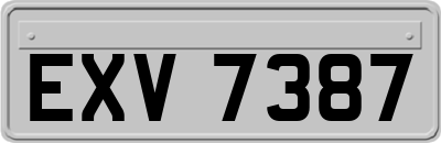 EXV7387