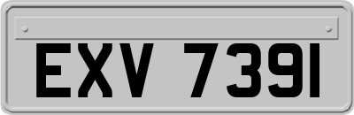 EXV7391