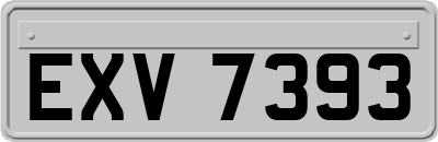 EXV7393
