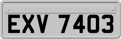 EXV7403