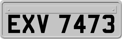 EXV7473