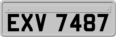 EXV7487