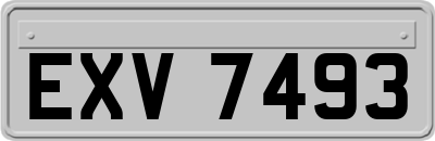 EXV7493