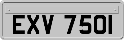 EXV7501