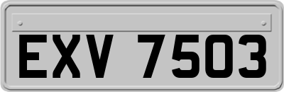 EXV7503