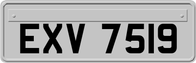 EXV7519