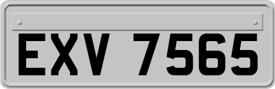 EXV7565