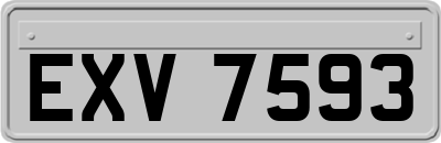 EXV7593