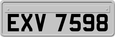 EXV7598