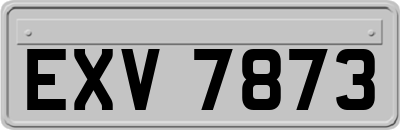 EXV7873
