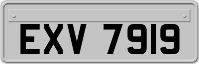 EXV7919