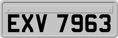 EXV7963