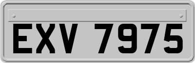EXV7975