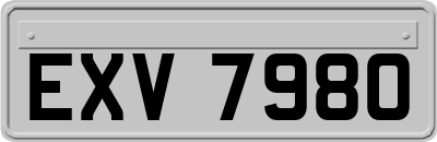 EXV7980