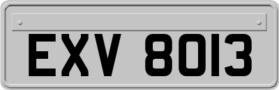 EXV8013