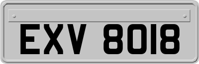 EXV8018