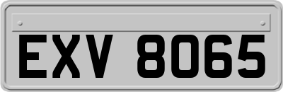 EXV8065