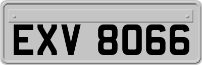 EXV8066