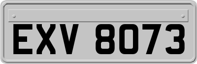 EXV8073