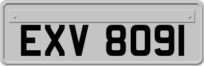 EXV8091