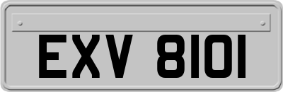 EXV8101