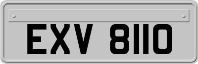 EXV8110