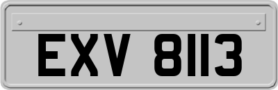 EXV8113