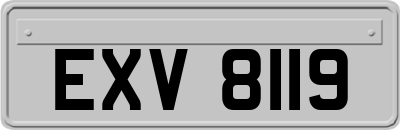 EXV8119