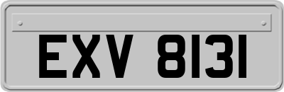 EXV8131