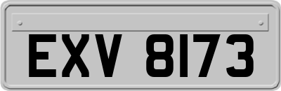 EXV8173