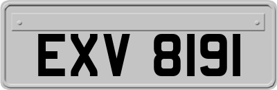 EXV8191