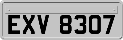 EXV8307