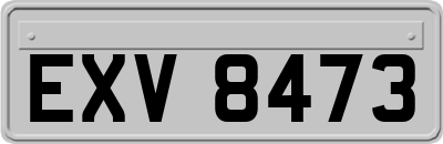 EXV8473