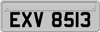 EXV8513