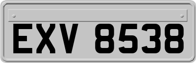 EXV8538