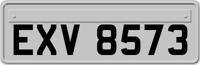 EXV8573
