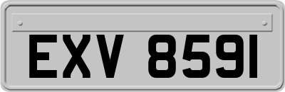 EXV8591