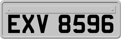 EXV8596