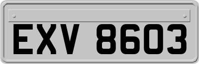 EXV8603