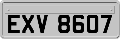 EXV8607