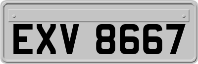 EXV8667