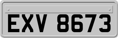 EXV8673