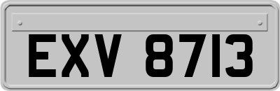 EXV8713