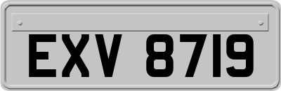 EXV8719