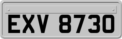 EXV8730