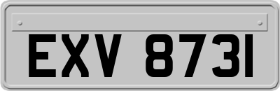 EXV8731
