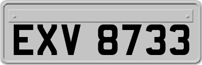 EXV8733
