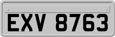 EXV8763