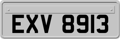 EXV8913