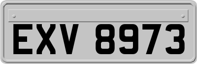 EXV8973